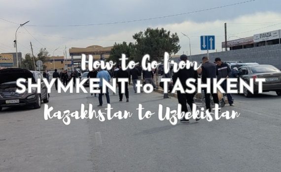 Shymkent to Tashkent