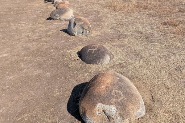 Petroglyphs at the Burana Tower